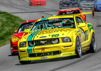 TransAm Mustang at Mid-Ohio Sports Car Course