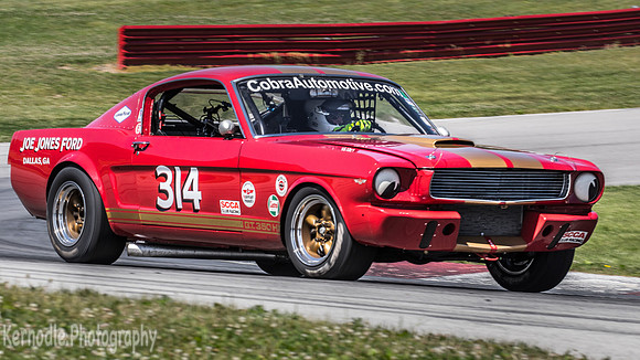 #314 Frank Marcum, 1966 Ford GT350 (292cid)