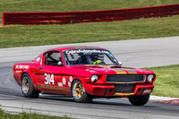 #314 Frank Marcum, 1966 Ford GT350 (292cid)