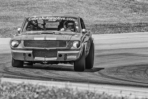 #314 Frank Marcum, 1966 Ford GT350 (292cid)