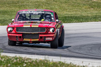 #314 Frank Marcum, 1966 Ford GT350 (292cid)
