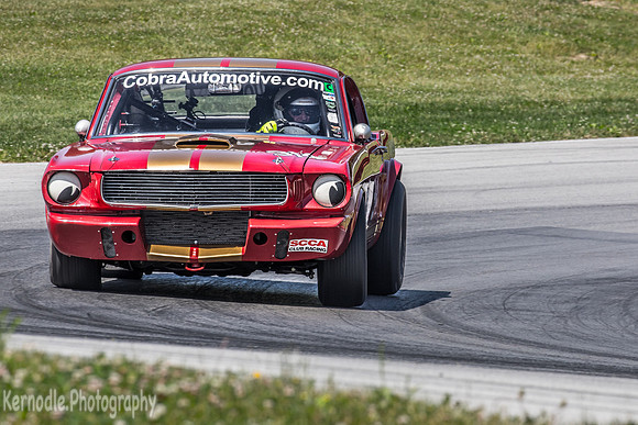 #314 Frank Marcum, 1966 Ford GT350 (292cid)