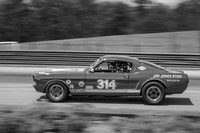 #314 Frank Marcum, 1966 Ford GT350 (292cid)