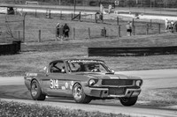 #314 Frank Marcum, 1966 Ford GT350 (292cid)