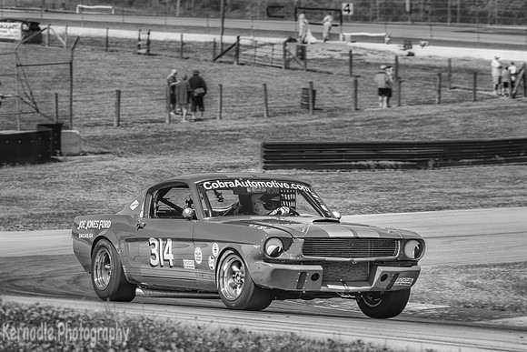#314 Frank Marcum, 1966 Ford GT350 (292cid)