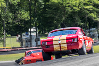 #314 Frank Marcum, 1966 Ford GT350 (292cid)