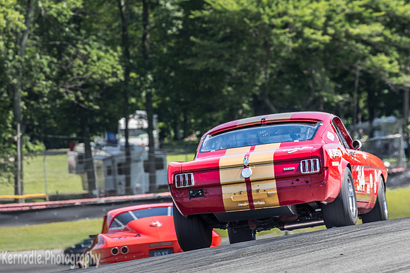 #314 Frank Marcum, 1966 Ford GT350 (292cid)