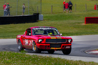 #314 Frank Marcum, 1966 Ford GT350 (292cid)