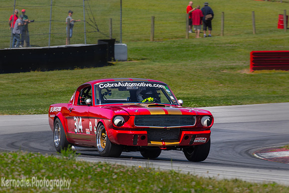 #314 Frank Marcum, 1966 Ford GT350 (292cid)