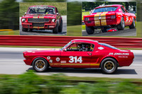 #314 Frank Marcum, 1966 Ford GT350 (292cid)