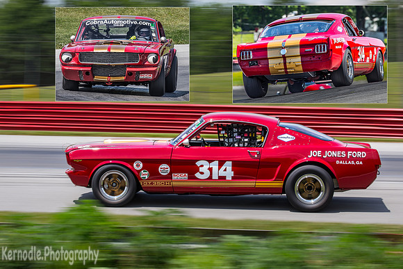 #314 Frank Marcum, 1966 Ford GT350 (292cid)