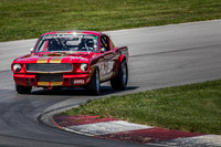 #314 Frank Marcum, 1966 Ford GT350 (292cid)
