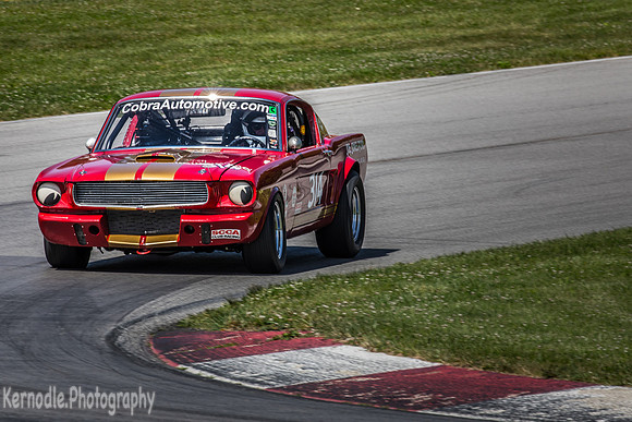 #314 Frank Marcum, 1966 Ford GT350 (292cid)