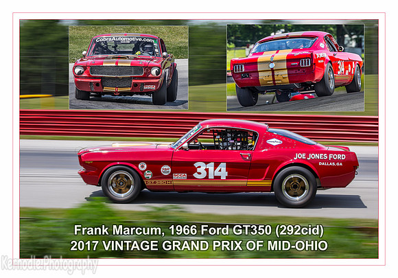 #314 Frank Marcum, 1966 Ford GT350 (292cid)