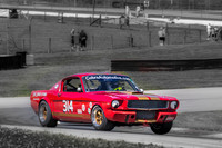 #314 Frank Marcum, 1966 Ford GT350 (292cid)