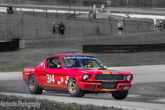 #314 Frank Marcum, 1966 Ford GT350 (292cid)