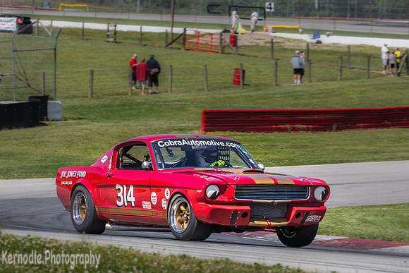 #314 Frank Marcum, 1966 Ford GT350 (292cid)