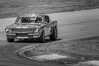 #314 Frank Marcum, 1966 Ford GT350 (292cid)