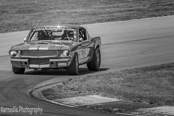 #314 Frank Marcum, 1966 Ford GT350 (292cid)