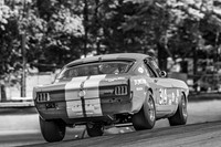 #314 Frank Marcum, 1966 Ford GT350 (292cid)