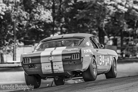 #314 Frank Marcum, 1966 Ford GT350 (292cid)