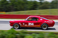 Master SVRA Gallery