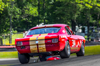 #314 Frank Marcum, 1966 Ford GT350 (292cid)