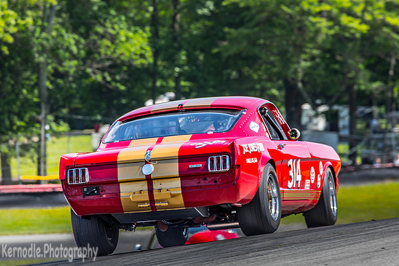 #314 Frank Marcum, 1966 Ford GT350 (292cid)