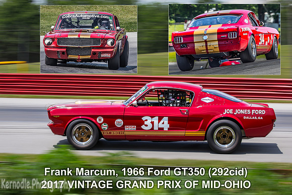 #314 Frank Marcum, 1966 Ford GT350 (292cid)