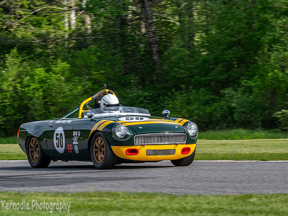 SVRA Groups 8 and 12