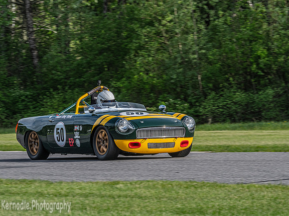 SVRA Groups 8 and 12
