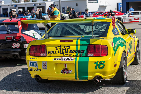 2014 Trans Am Championship Round 11 @ Daytona International Spee